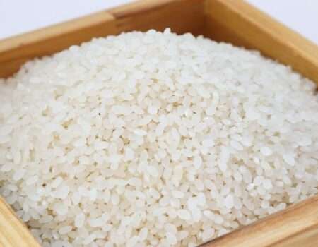 rice, white rice, korea-3997767.jpg